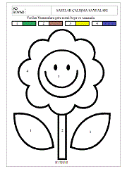 verilen sayıya göre boya